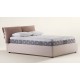 COMFORT DUAL