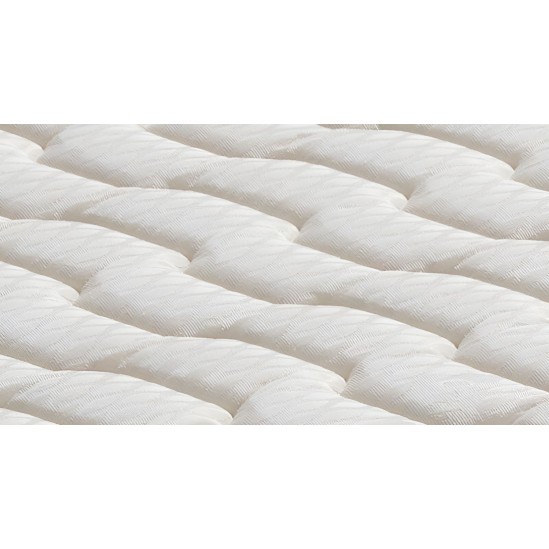 POLILATTEX PLUS
